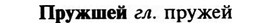 img/29/29-300_1498_Пружшей.jpg