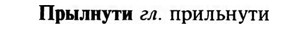 img/29/29-311_1750_Прылнути.jpg
