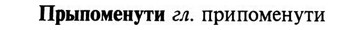 img/29/29-315_1874_Прыпоменути.jpg