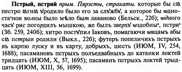 img/29/29-333_2175_Пестрый.jpg