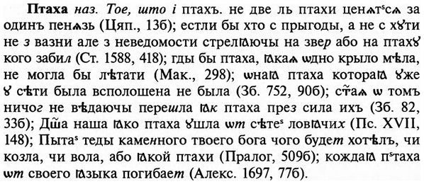 img/29/29-334_2181_Птаха.jpg