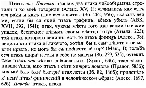 img/29/29-334_2183_Птахъ.jpg