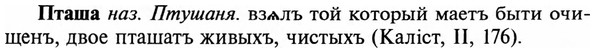 img/29/29-335_2186_Пташа.jpg