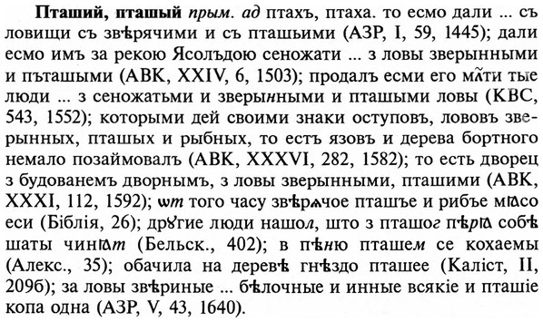 img/29/29-335_2191_Пташий.jpg