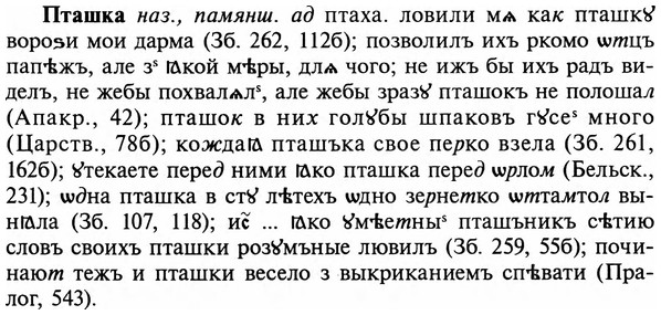 img/29/29-336_2195_Пташка.jpg