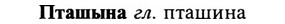 img/29/29-337_2203_Пташына.jpg