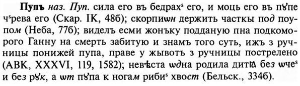 img/29/29-351_2319_Пупъ.jpg