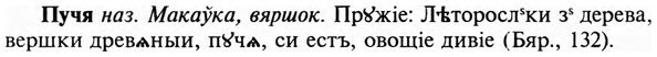 img/29/29-382_2451_Пучя.jpg