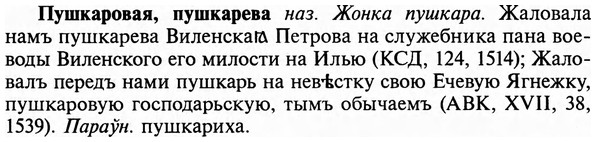 img/29/29-383_2458_Пушкаровая.jpg