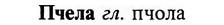 img/29/29-395_2495_Пчела.jpg