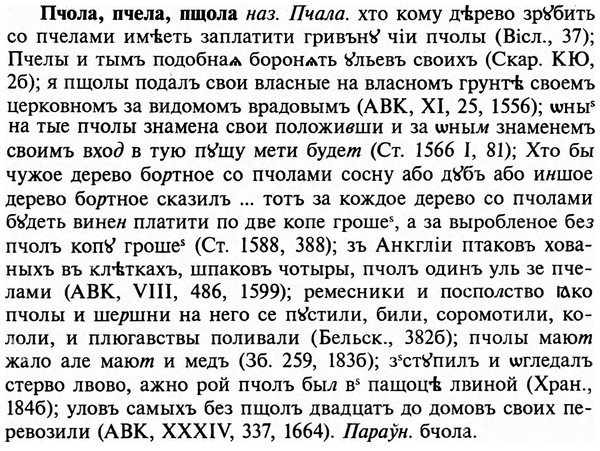 img/29/29-395_2498_Пчола.jpg