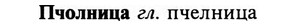 img/29/29-396_2500_Пчолница.jpg