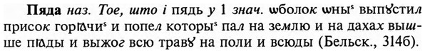 img/29/29-411_2569_Пяда.jpg