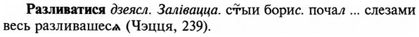 img/29/29-457_2888_Разливатися.jpg
