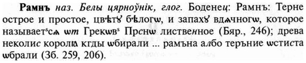 img/30/30-004_0008_Рамнъ.jpg