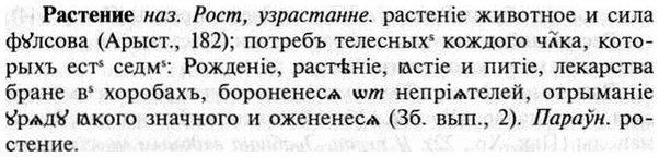 img/30/30-020_0126_Растение.jpg