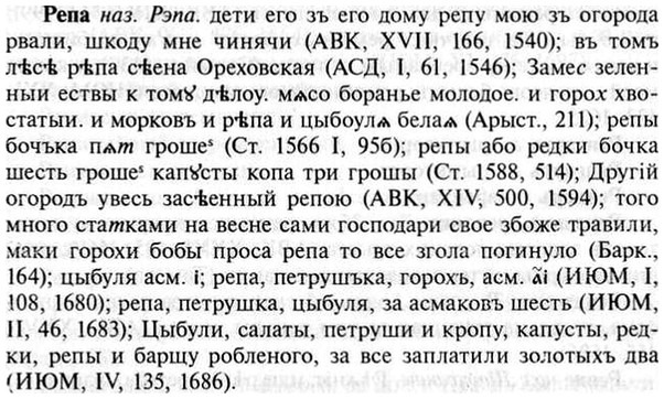img/30/30-074_0486_Репа.jpg