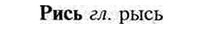 img/30/30-112_0686_Рись.jpg