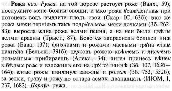 img/30/30-149_0835_Рожа.jpg