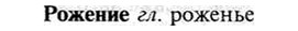img/30/30-154_0852_Рожение.jpg
