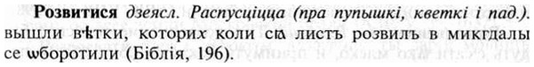 img/30/30-179_0995_Розвитися.jpg