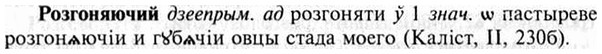 img/30/30-194_1073_Розгоняючий.jpg