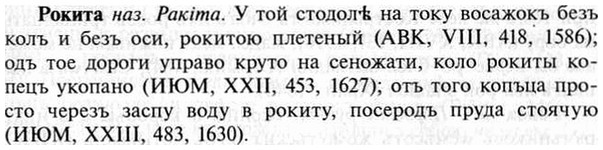 img/30/30-352_2019_Рокита.jpg