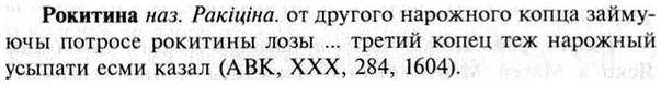 img/30/30-352_2020_Рокитина.jpg