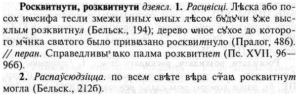 img/30/30-365_2101_Росквитнути.jpg