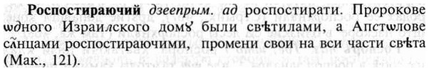 img/30/30-400_2306_Роспостираючий.jpg