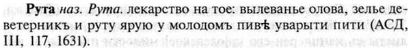 img/30/30-486_2787_Рута.jpg