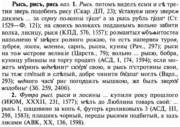 img/31/31-018_0093_Рысь.jpg