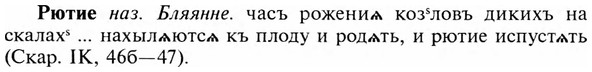 img/31/31-024_0148_Рютие.jpg