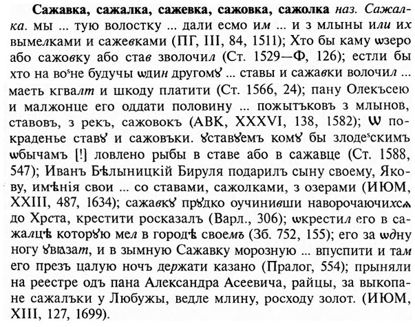 img/31/31-036_0234_Сажавка.jpg