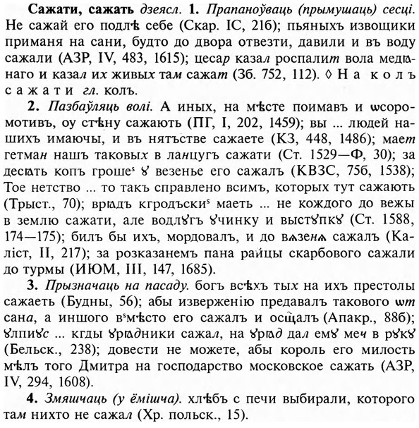 img/31/31-037_0237_Сажати.jpg