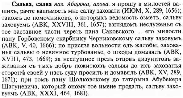 img/31/31-044_0275_Сальва.jpg