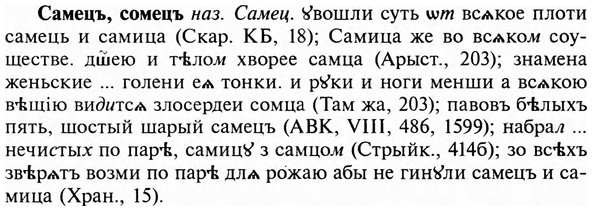img/31/31-046_0300_Самецъ.jpg