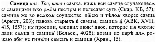 img/31/31-046_0301_Самица.jpg