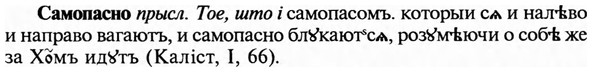 img/31/31-051_0348_Самопасно.jpg