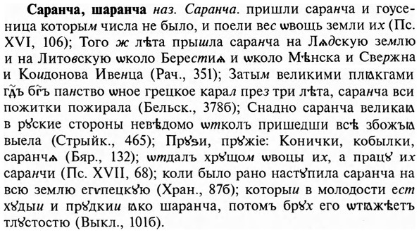 img/31/31-062_0416_Саранча.jpg
