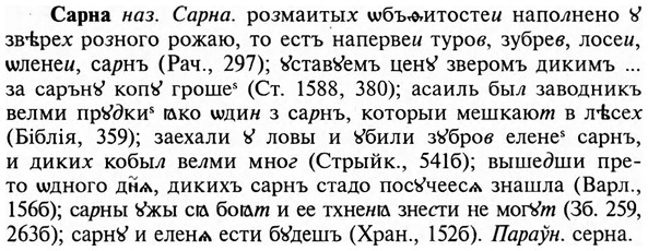 img/31/31-065_0439_Сарна.jpg