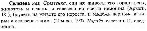 img/31/31-194_1211_Селезена.jpg