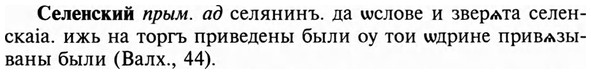img/31/31-195_1217_Селенский.jpg
