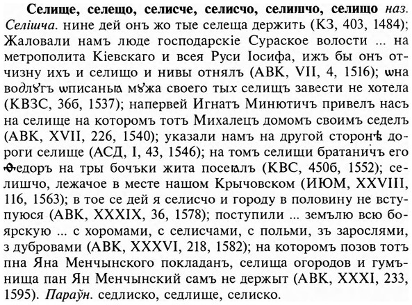 img/31/31-198_1232_Селище.jpg