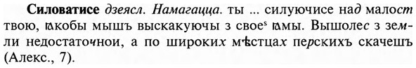 img/31/31-262_1613_Силоватисе.jpg