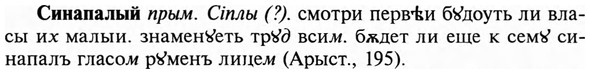 img/31/31-265_1645_Синапалый.jpg