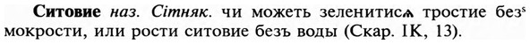 img/31/31-274_1720_Ситовие.jpg