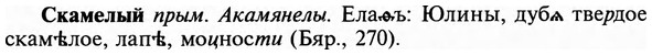 img/31/31-293_1796_Скамелый.jpg