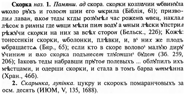 img/31/31-362_2105_Скорка.jpg