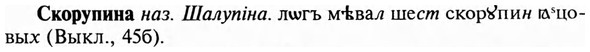 img/31/31-367_2144_Скорупина.jpg